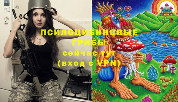 МДПВ Алексин